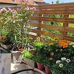 Appartement Les Bonbonieres D'andrea Gavinies Pellegrin *