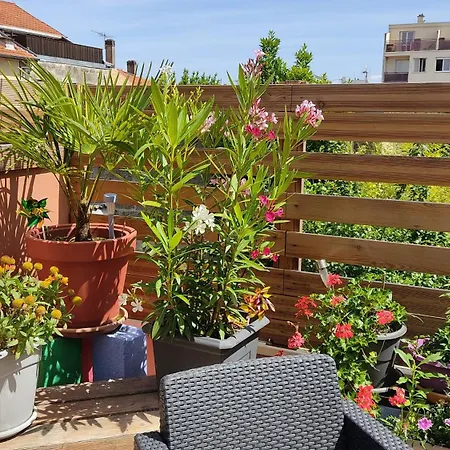 Les Bonbonieres D'andrea Gavinies Pellegrin Bordeaux