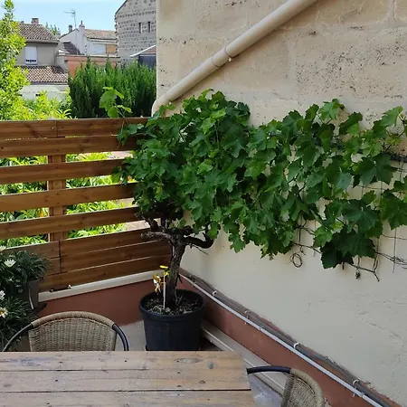 Les Bonbonieres D'andrea Gavinies Pellegrin