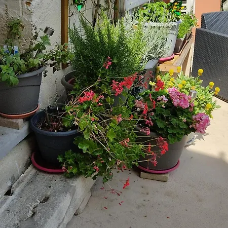 Les Bonbonieres D'andrea Gavinies Pellegrin Appartement