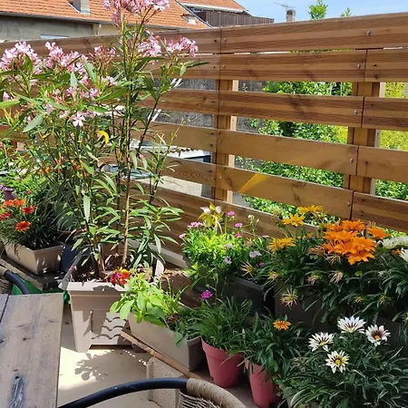 Appartement Les Bonbonieres D'andrea Gavinies Pellegrin *