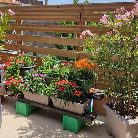 Appartement Les Bonbonieres D'andrea Gavinies Pellegrin Bordeaux