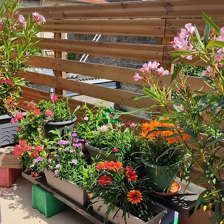 Les Bonbonieres D'andrea Gavinies Pellegrin *