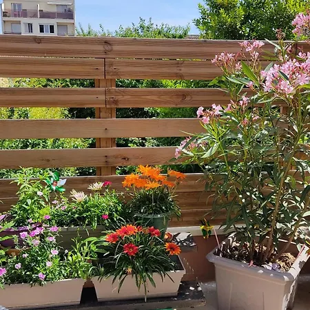 Les Bonbonieres D'andrea Gavinies Pellegrin Bordeaux