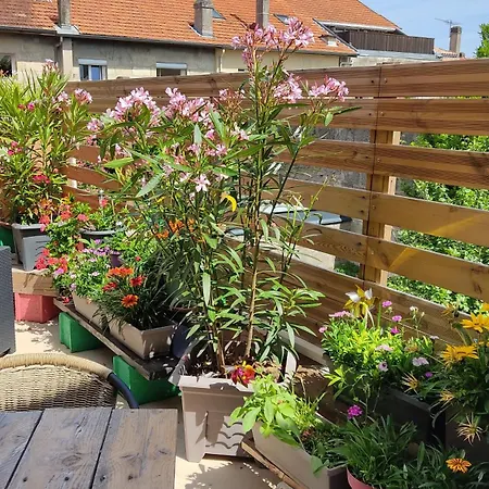 Les Bonbonieres D'andrea Gavinies Pellegrin Appartement