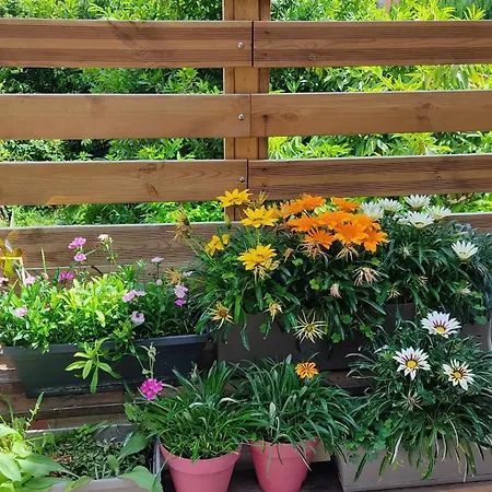 Les Bonbonieres D'andrea Gavinies Pellegrin